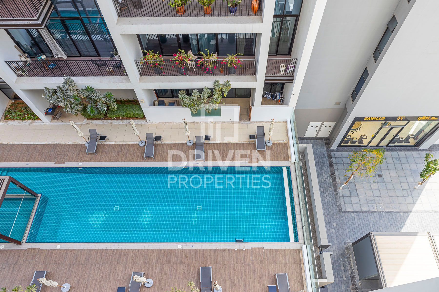 Spacious and Bright Apartment Ready to Move in