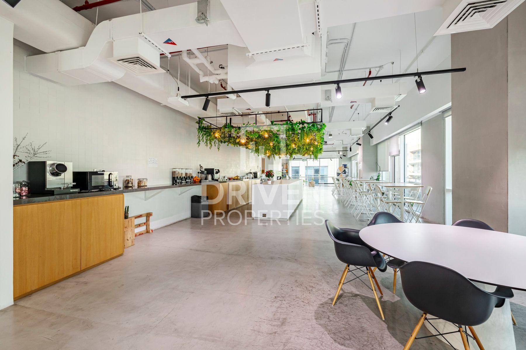 Rare Opportunity Full Floor Furnished and Fitted