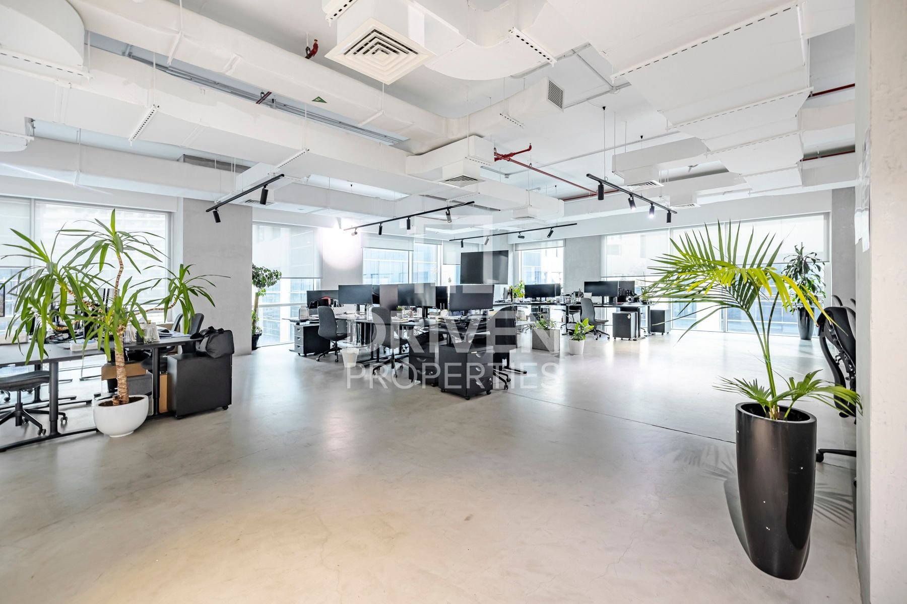 Rare Opportunity Full Floor Furnished and Fitted